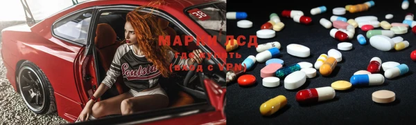 ПСИЛОЦИБИНОВЫЕ ГРИБЫ Наволоки